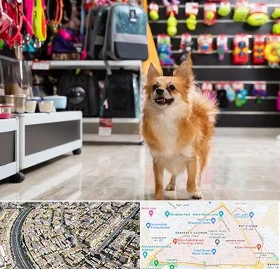 فروشگاه لوازم سگ در شهرک غرب مشهد