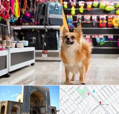 فروشگاه لوازم سگ در مصلی مشهد