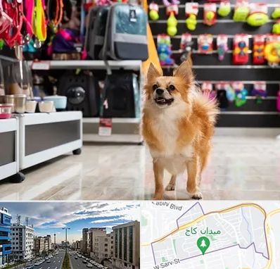 فروشگاه لوازم سگ در سعادت آباد 