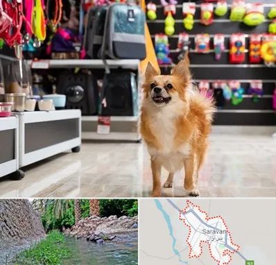 فروشگاه لوازم سگ در سراوان