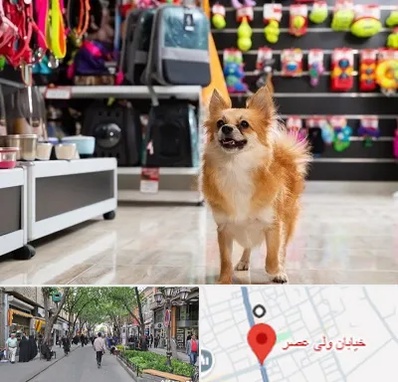 فروشگاه لوازم سگ در ولیعصر شهریار