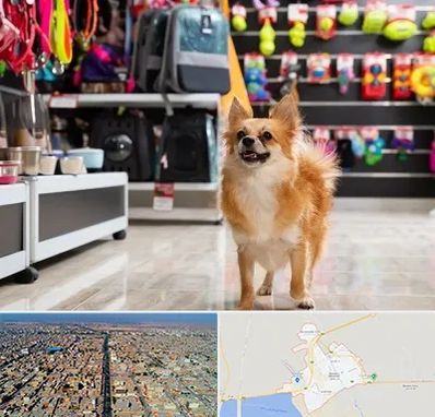 فروشگاه لوازم سگ در بندر ماهشهر