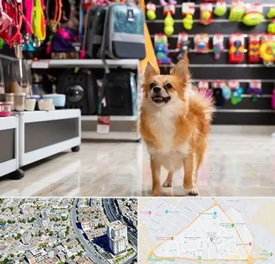 فروشگاه لوازم سگ در قاسم آباد مشهد