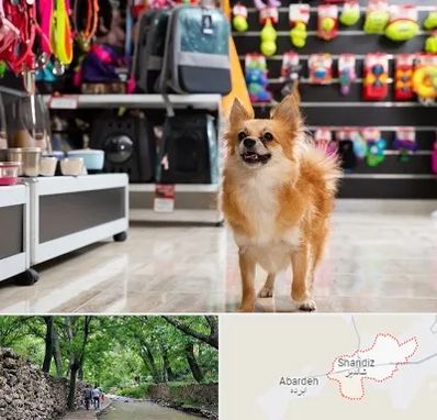 فروشگاه لوازم سگ در شاندیز مشهد