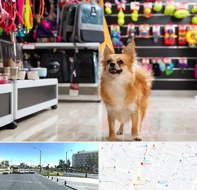 فروشگاه لوازم سگ در بلوار کلاهدوز مشهد