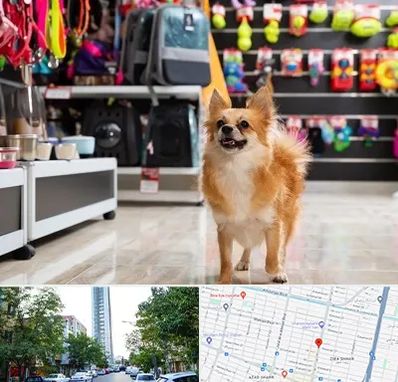 فروشگاه لوازم سگ در امامت مشهد