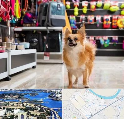 فروشگاه لوازم سگ در کوروش اهواز