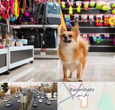 فروشگاه لوازم سگ در باقرشهر