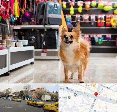 فروشگاه لوازم سگ در شهناز تبریز