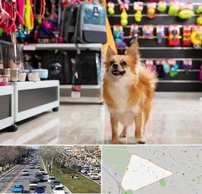 فروشگاه لوازم سگ در احمدآباد مشهد