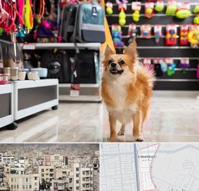 فروشگاه لوازم سگ در اسکندری