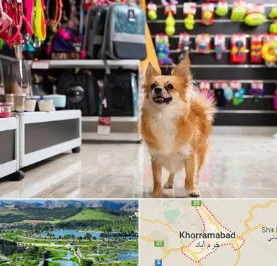 فروشگاه لوازم سگ در خرم آباد