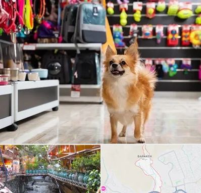 فروشگاه لوازم سگ در درکه