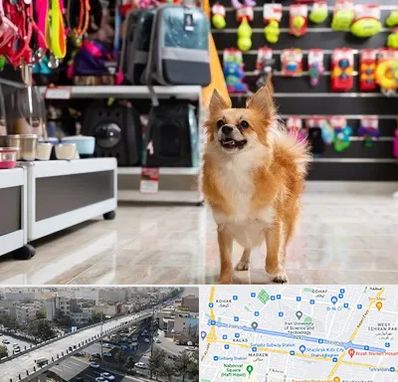 فروشگاه لوازم سگ در فرجام