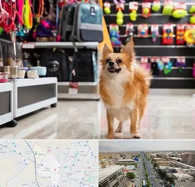 فروشگاه لوازم سگ در حصارک کرج