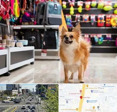 فروشگاه لوازم سگ در ستاری