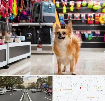 فروشگاه لوازم سگ در دولت