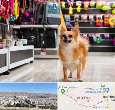 فروشگاه لوازم سگ در شهرک گلستان شیراز