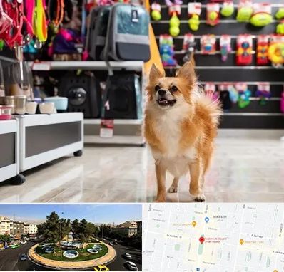 فروشگاه لوازم سگ در هفت حوض