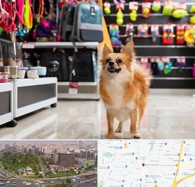 فروشگاه لوازم سگ در آیت الله کاشانی