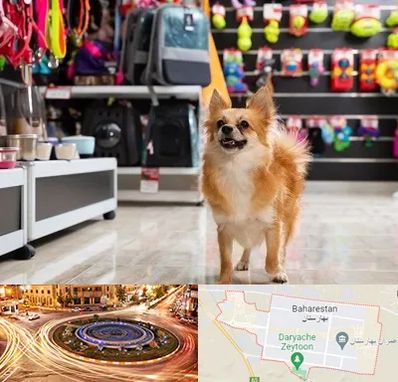 فروشگاه لوازم سگ در بهارستان