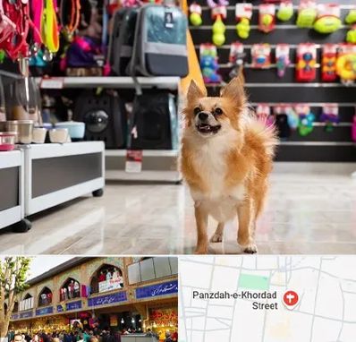 فروشگاه لوازم سگ در 15 خرداد