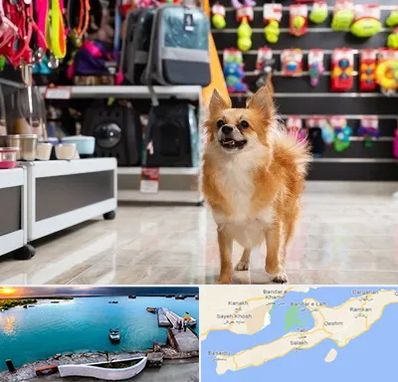 فروشگاه لوازم سگ در قشم