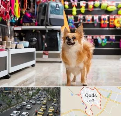 فروشگاه لوازم سگ در شهر قدس