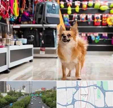 فروشگاه لوازم سگ در توانیر