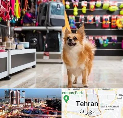 فروشگاه لوازم سگ در صادقیه 