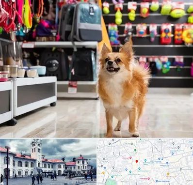 فروشگاه لوازم سگ در میدان شهرداری رشت