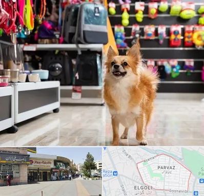 فروشگاه لوازم سگ در پرواز تبریز