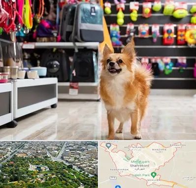 فروشگاه لوازم سگ در شهرکرد