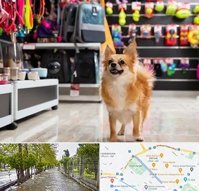 فروشگاه لوازم سگ در خیابان ارم شیراز