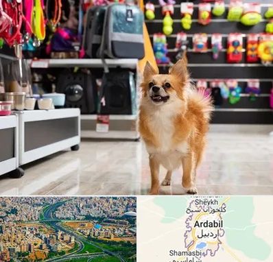 فروشگاه لوازم سگ در اردبیل