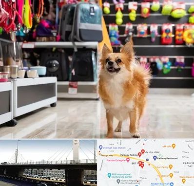 فروشگاه لوازم سگ در پارک وی