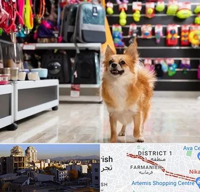 فروشگاه لوازم سگ در فرمانیه