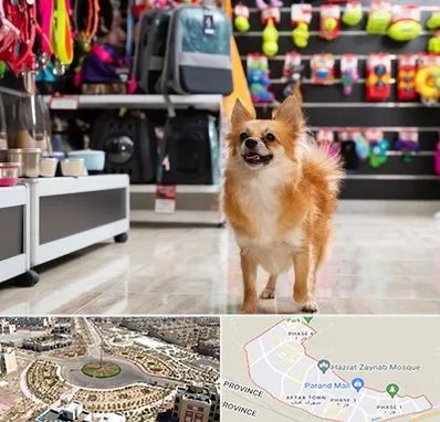 فروشگاه لوازم سگ در پرند