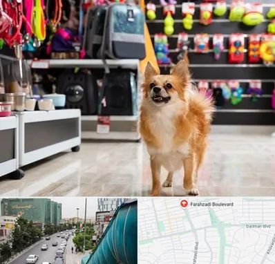 فروشگاه لوازم سگ در بلوار فرحزادی
