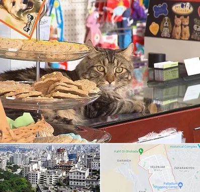 فروشگاه لوازم گربه در ولنجک 