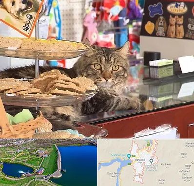 فروشگاه لوازم گربه در مهاباد