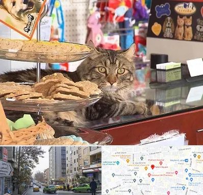 فروشگاه لوازم گربه در فاطمی