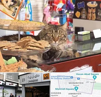 فروشگاه لوازم گربه در منیریه