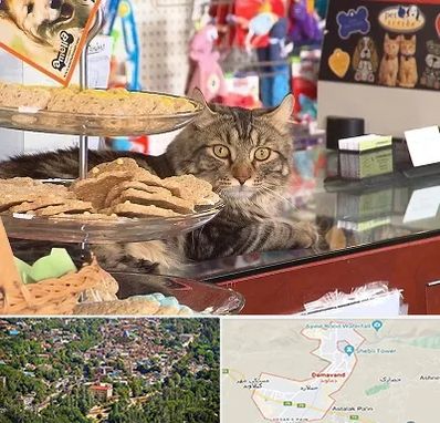 فروشگاه لوازم گربه در دماوند