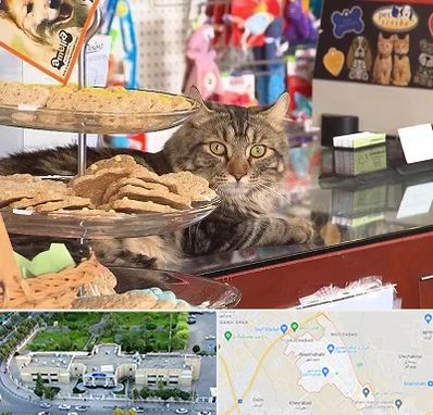 فروشگاه لوازم گربه در نسیم شهر