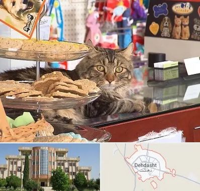 فروشگاه لوازم گربه در دهدشت