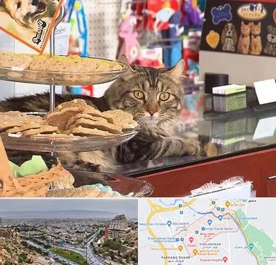 فروشگاه لوازم گربه در معالی آباد شیراز