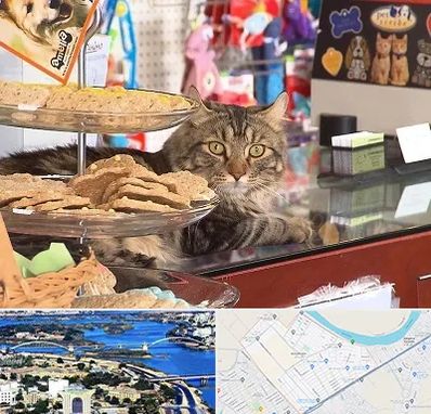 فروشگاه لوازم گربه در کوروش اهواز