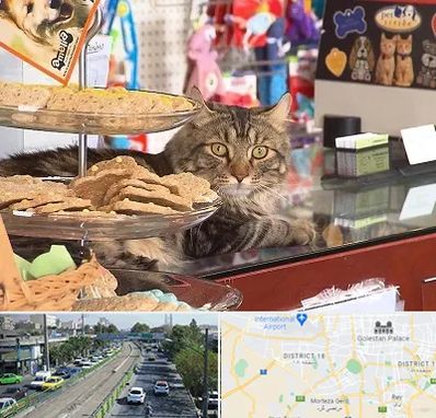 فروشگاه لوازم گربه در جنوب تهران