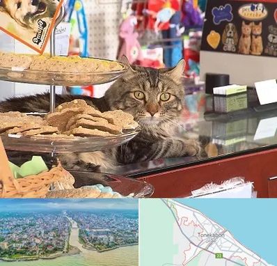 فروشگاه لوازم گربه در تنکابن